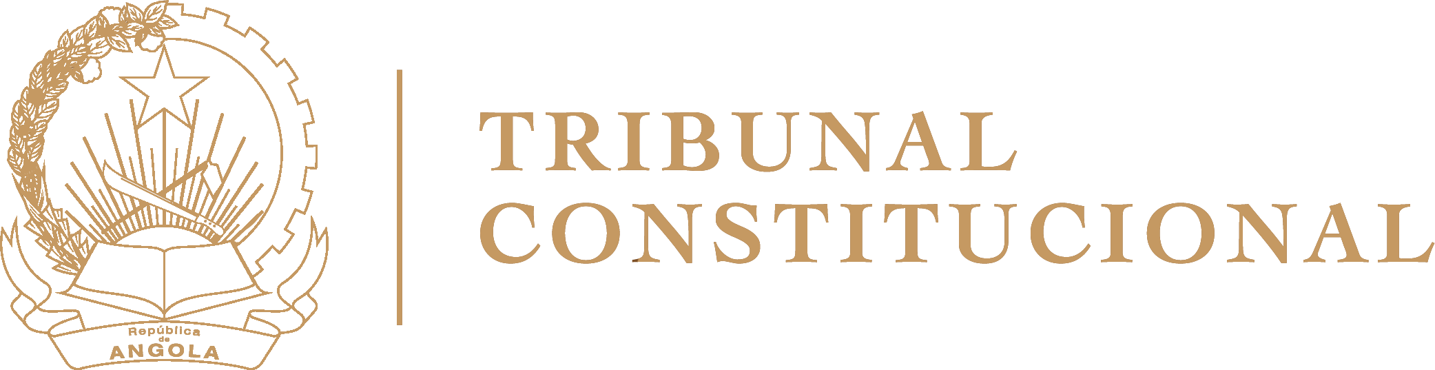 Portal do Tribunal Constitucional